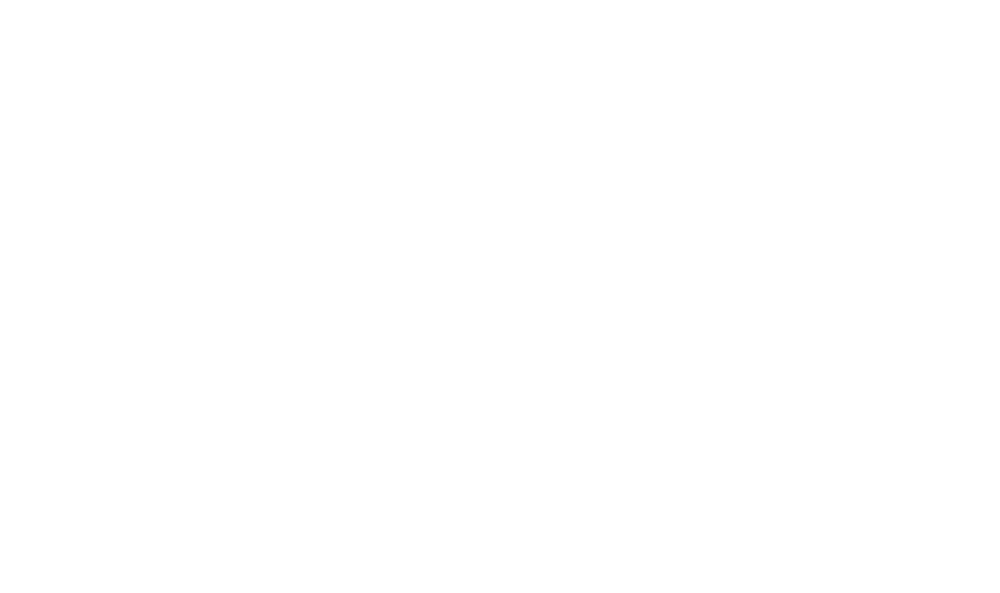 Kocinaconk